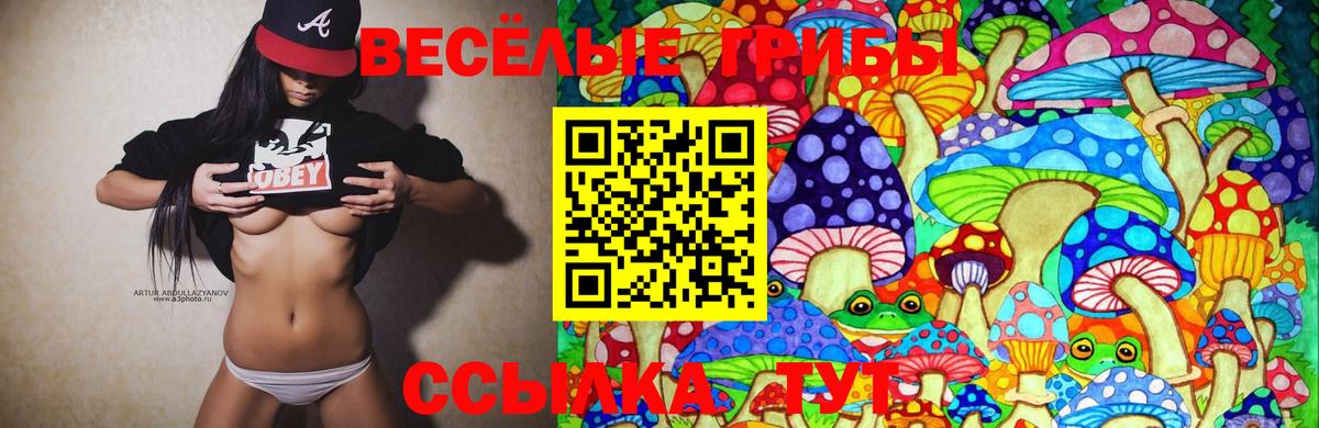 Псилоцибиновые грибы Psilocybe Красногорск