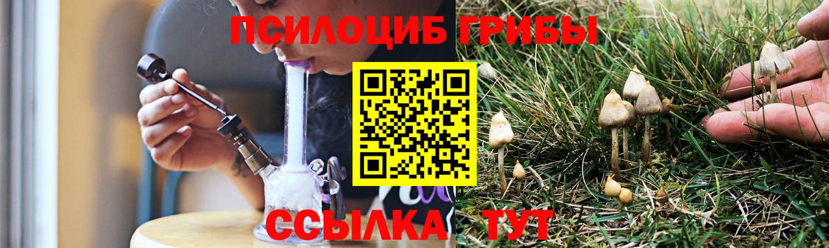 Красногорск  наркошоп  Вход с VPN  Галлюциногенные грибы прущие грибы 